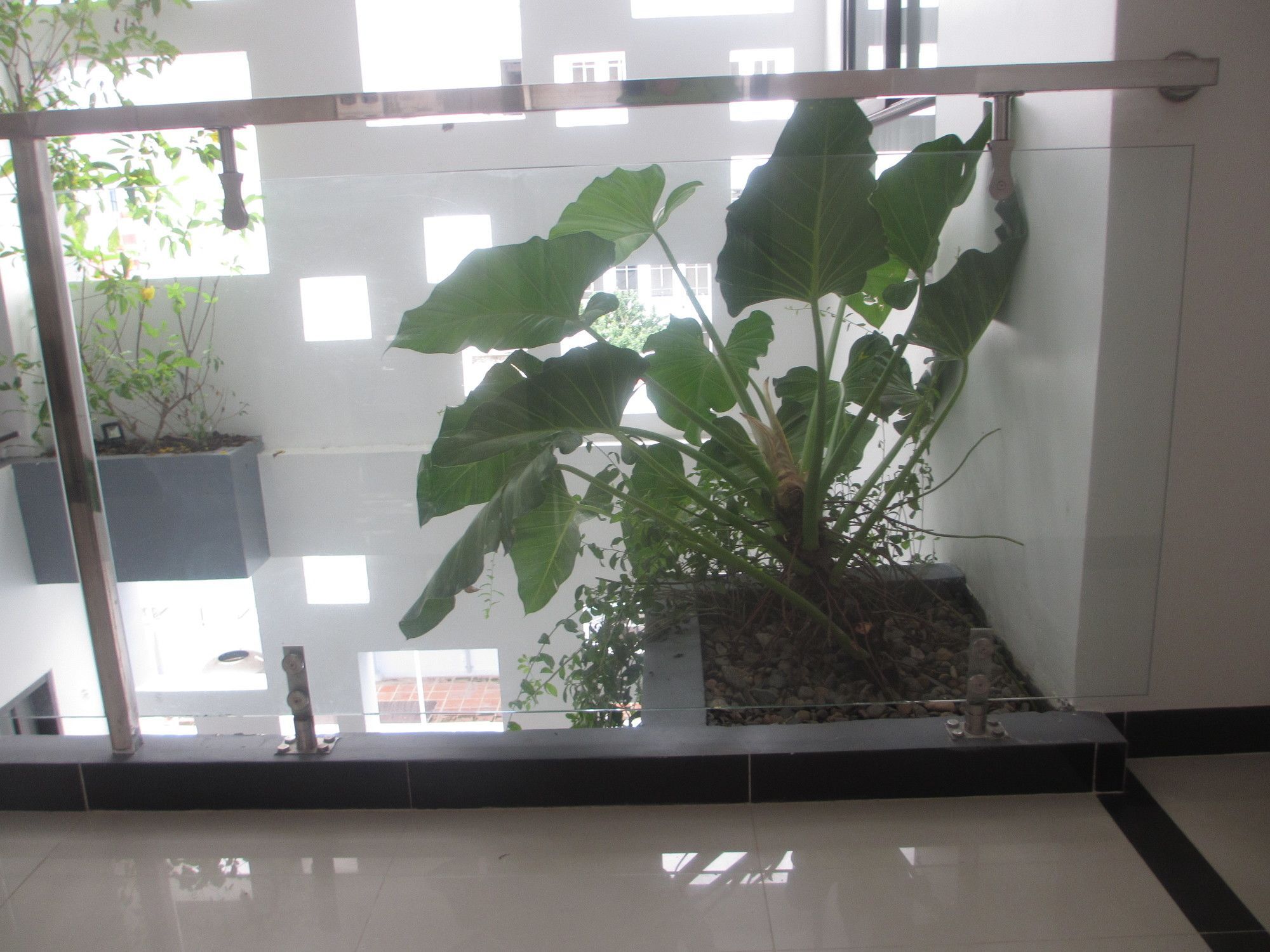 Ale Nha Trang Hotel Exterior photo